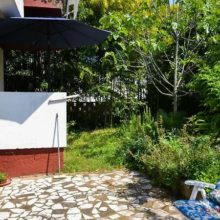 Ana B Apartment Novigrad (Istria)